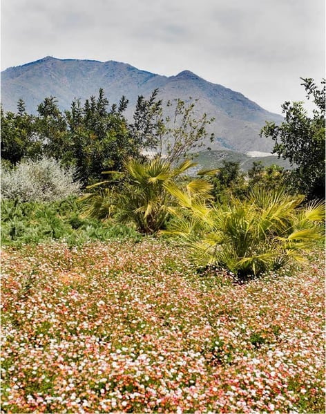 Finca Cortesin location 