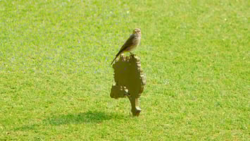 This study underscores Finca Cortesin's broader commitment to sustainability